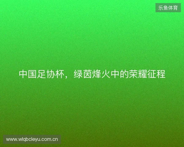 中国足协杯，绿茵烽火中的荣耀征程