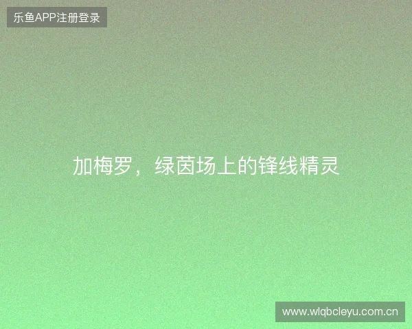 加梅罗，绿茵场上的锋线精灵
